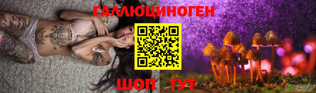 Сухой Лог  Псилоцибиновые грибы MAGIC MUSHROOMS  Вход с VPN 